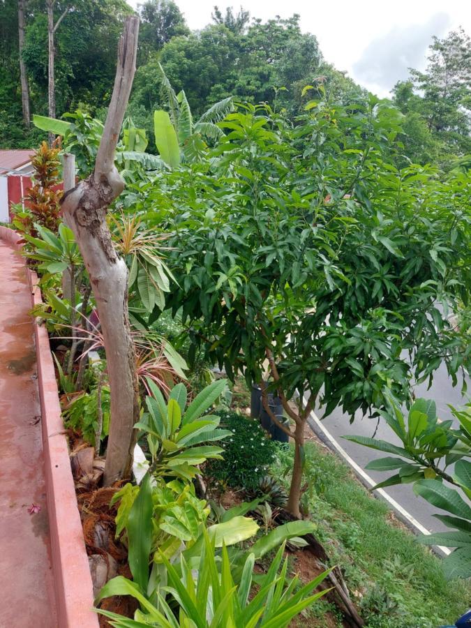 Hotel Baan Sikhao Yanui Rawai Exterior foto